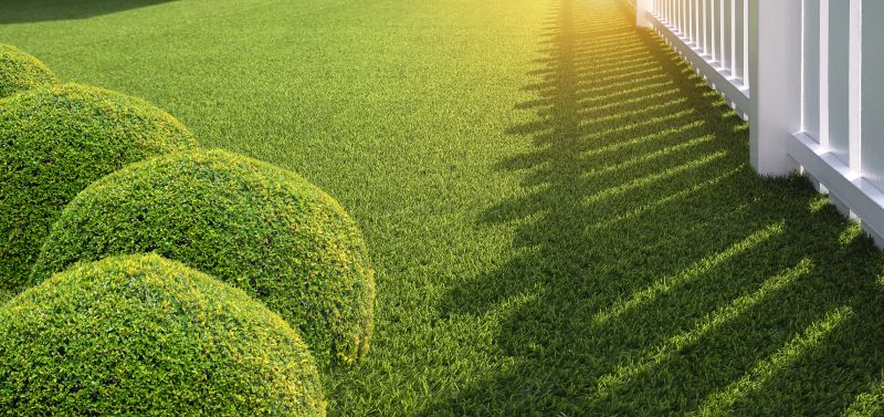 Artificial Grass Replacement