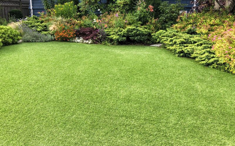Artificial Grass Replacement