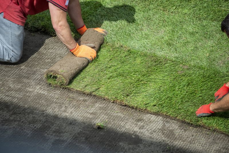 Artificial Grass Replacement
